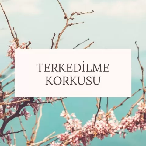 Terkedilme Korkusu