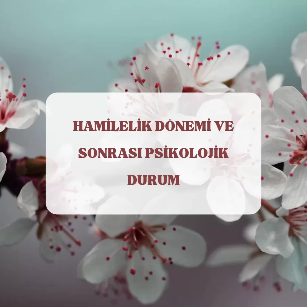 Hamilelik Dönemi Ve Sonrası Psikolojik Durum